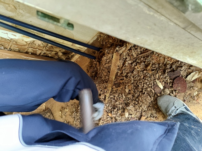 ペット屋敷での作業 ペット屋敷での作業